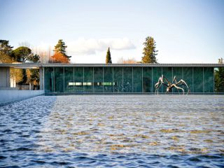 Winery - home design quirks
