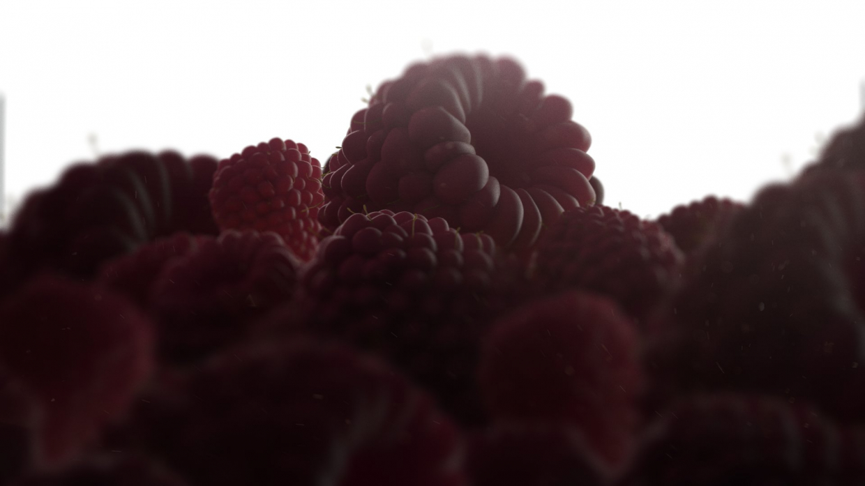 RASPBERRIES в 3d max vray 2.0 изображение