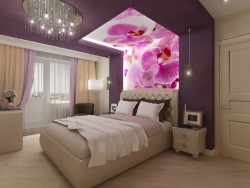 orchid dreams