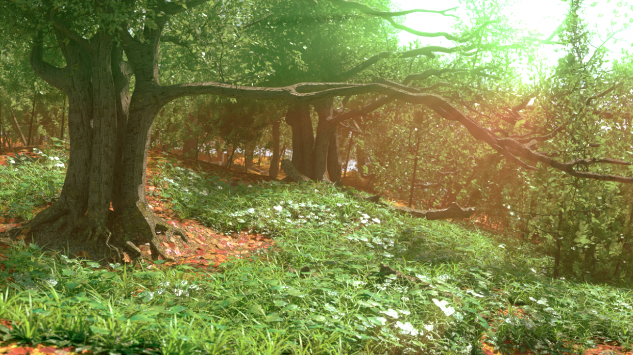 OAK GROVE dans Blender cycles render image