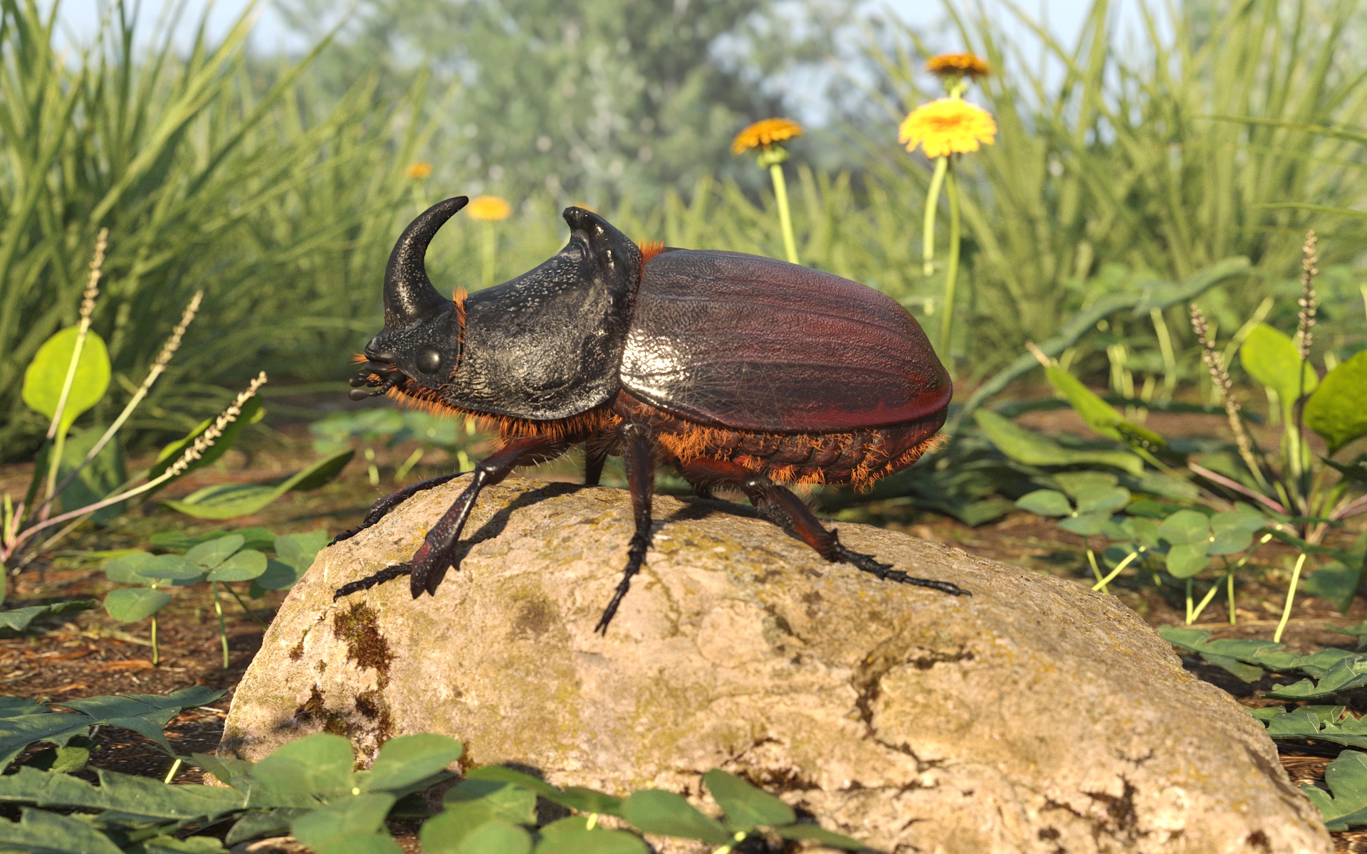 Rhinoceros beetle в 3d max corona render зображення