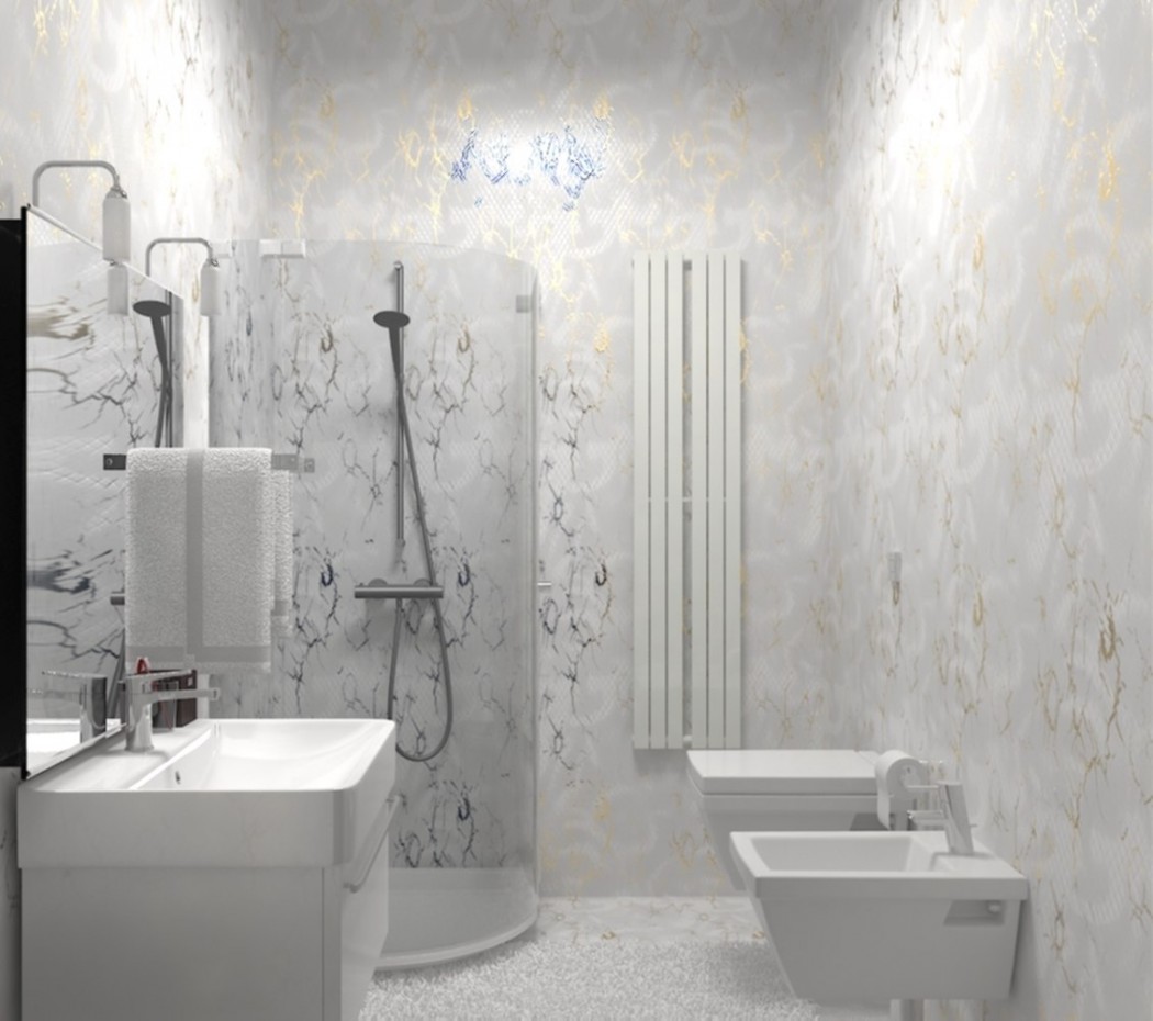 Die Badezimmer sind 2 Varianten. in 3d max vray Bild