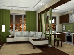 Living room-kitchen.