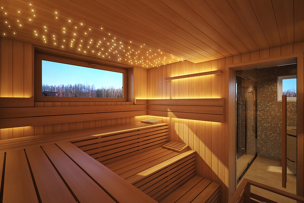 A modern wooden house. Interior and exterior in 3d max corona render image