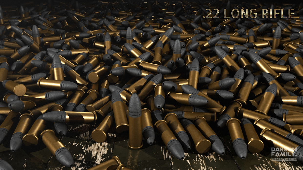 .22 Modelo verdadeiro do rifle longo em Cinema 4d Other imagem