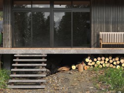 Maison dans une forêt