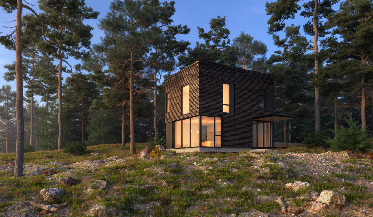 Orman evi in 3d max vray 3.0 resim