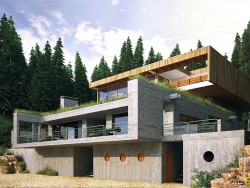 Maison dans une forêt