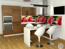 Proyecto de muebles de cocina