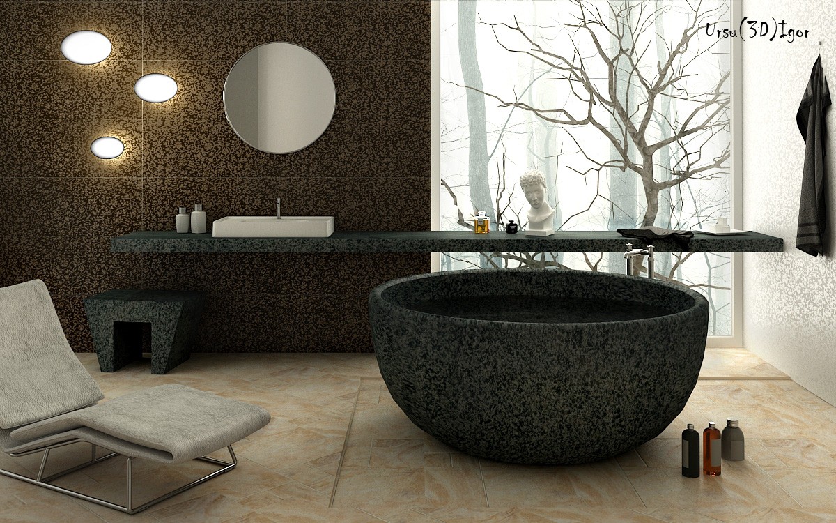 Bagno in 3d max vray immagine