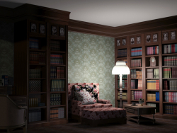 home library