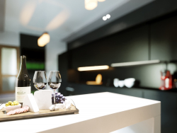 Kitchen in a private house