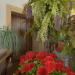 Giardino d'inverno in 3d max vray 3.0 immagine