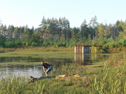 Village pond