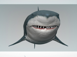 Shark