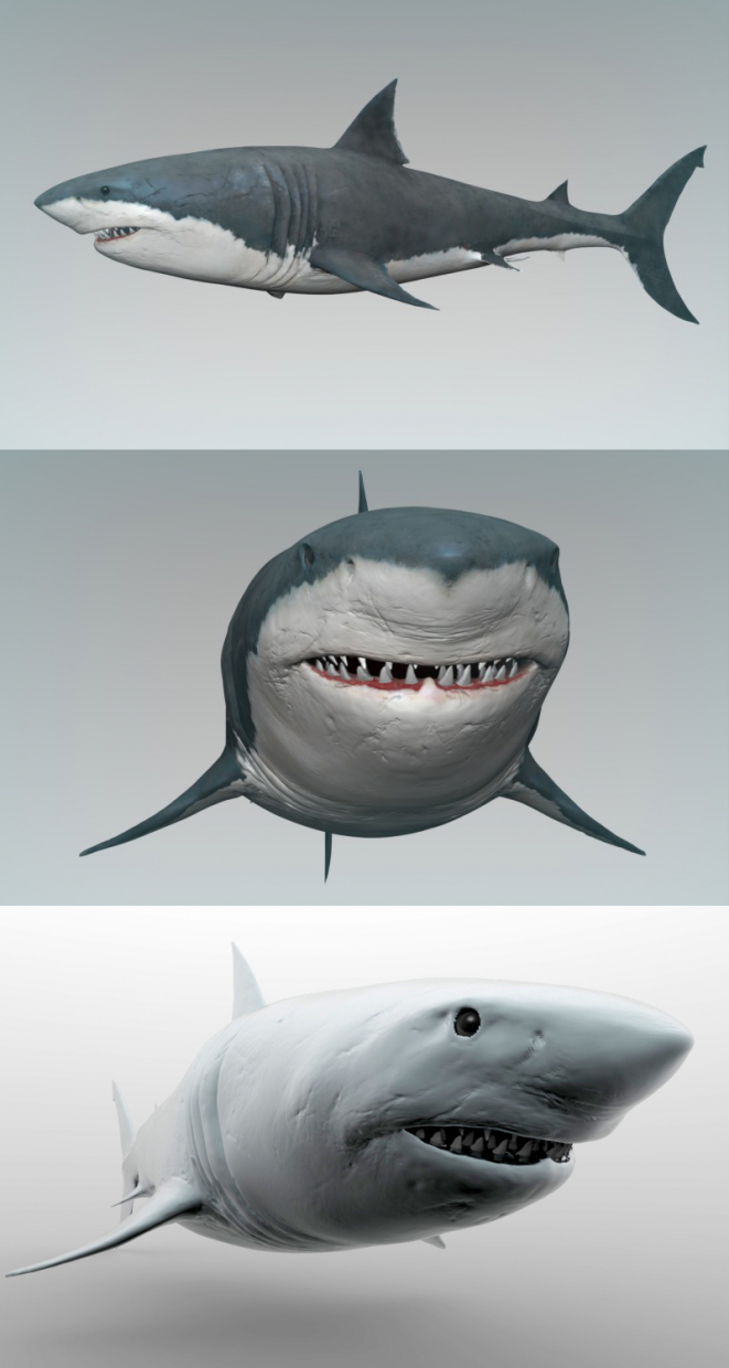 Shark в ZBrush Other изображение