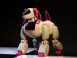 köpek robotu