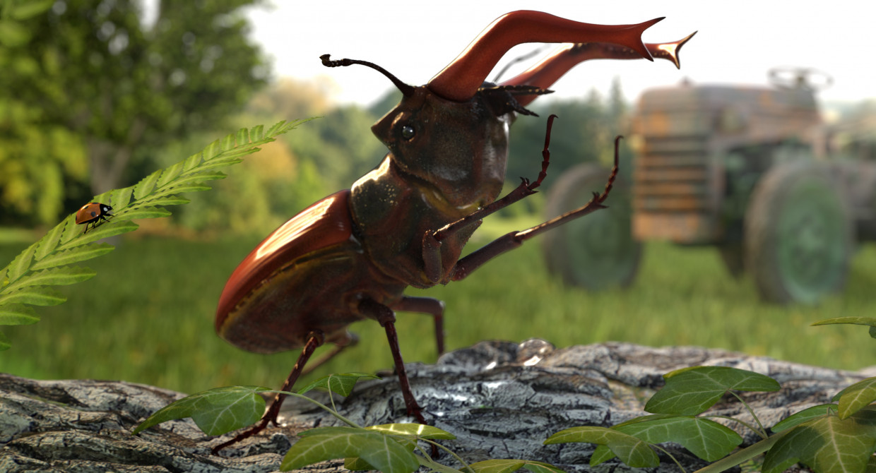 Modelo 3D de Lucanus Cervus em 3d max vray 3.0 imagem