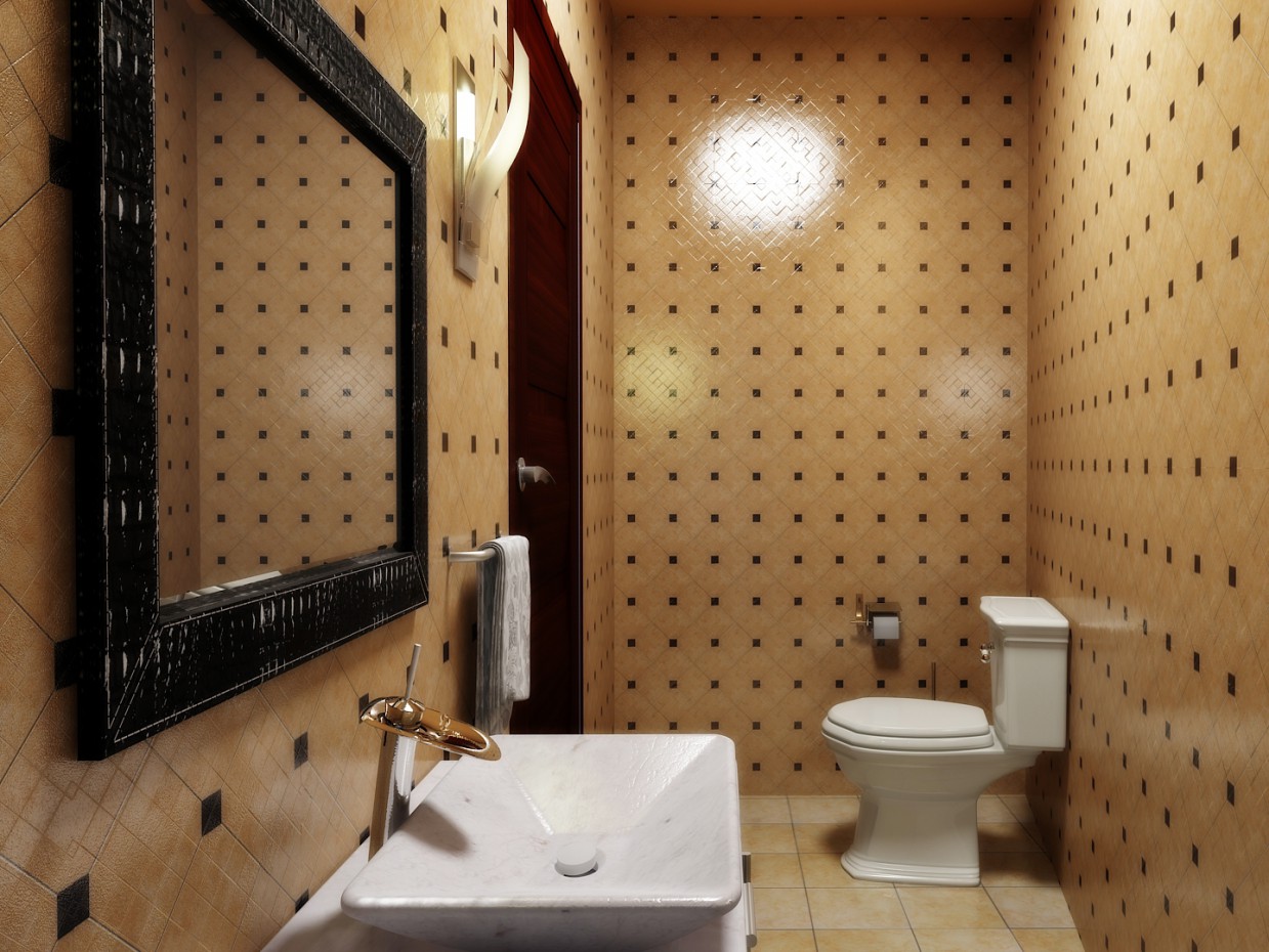 WC dans 3d max vray image