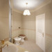 WC in 3d max corona render immagine