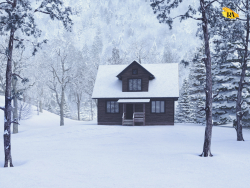 Casa en el bosque de invierno