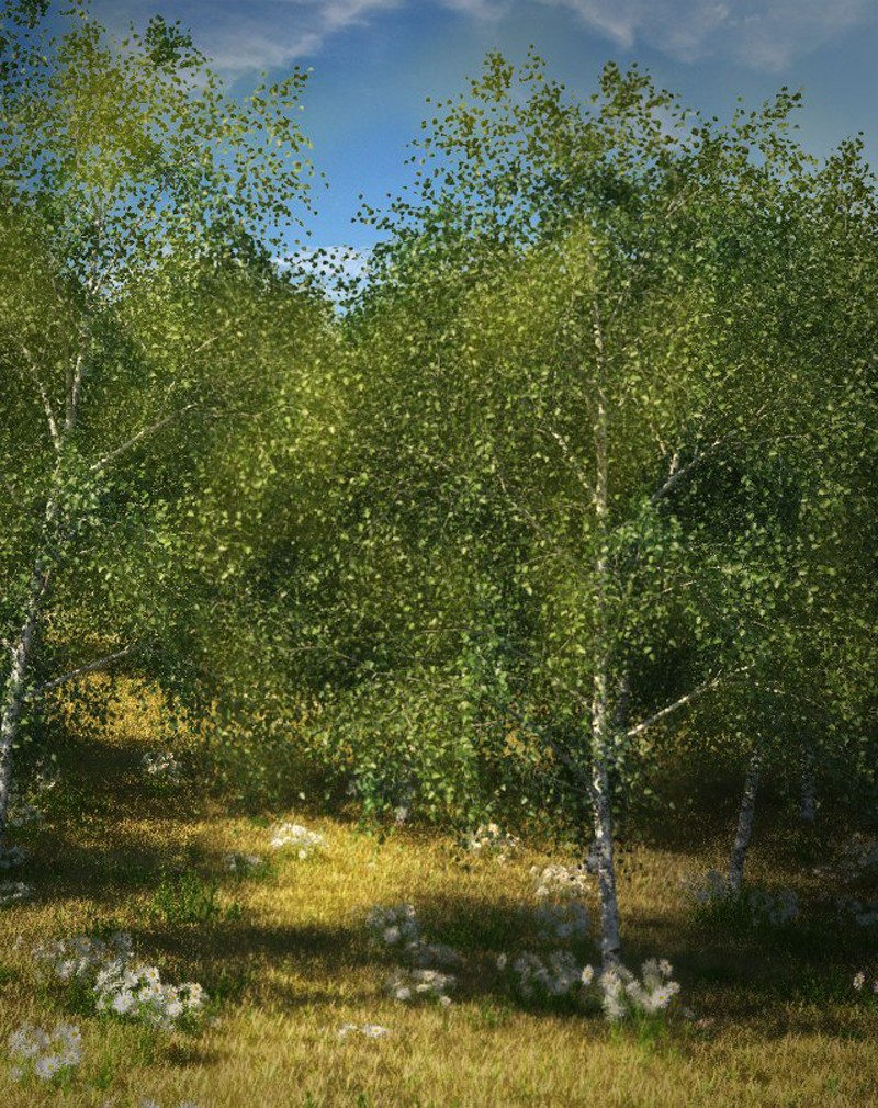 Simply a forest in 3d max vray image