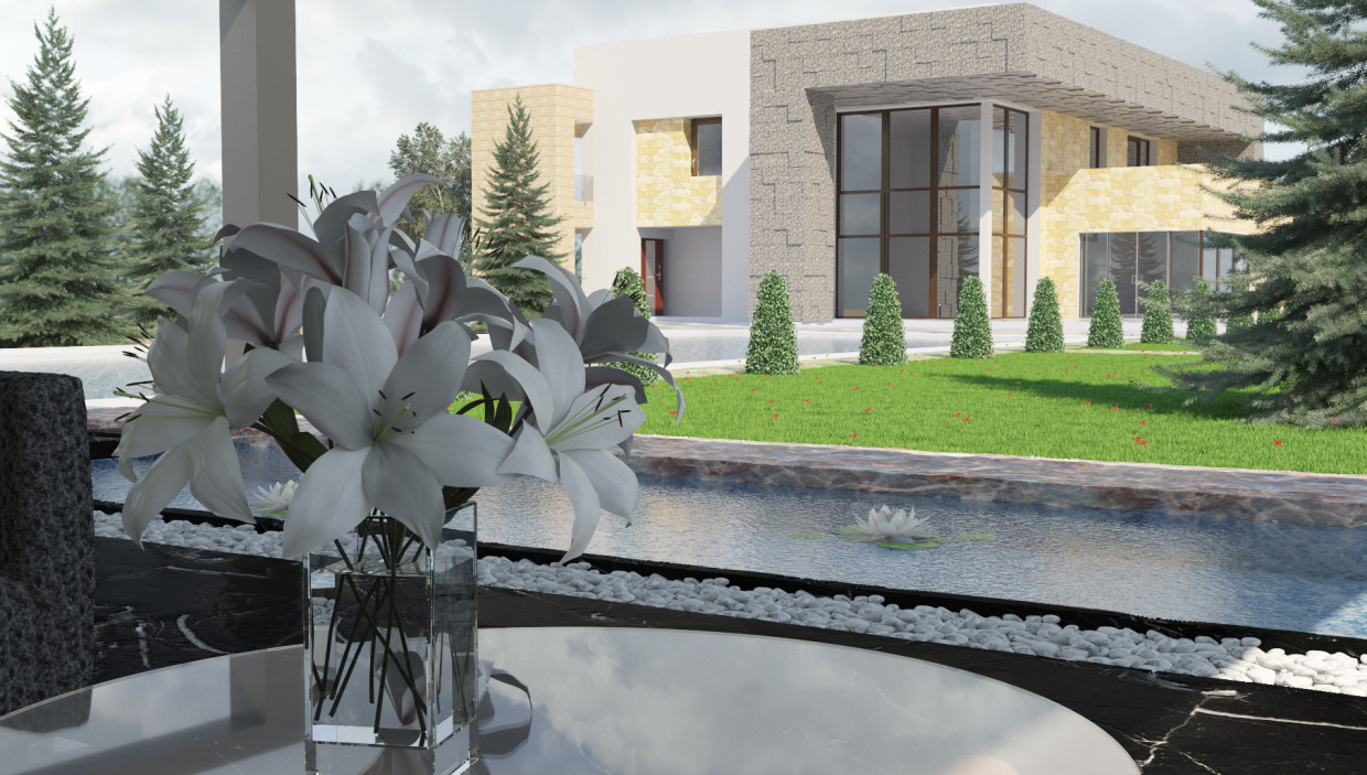 elitniy asabnyak dans 3d max corona render image