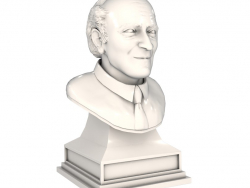 Bust