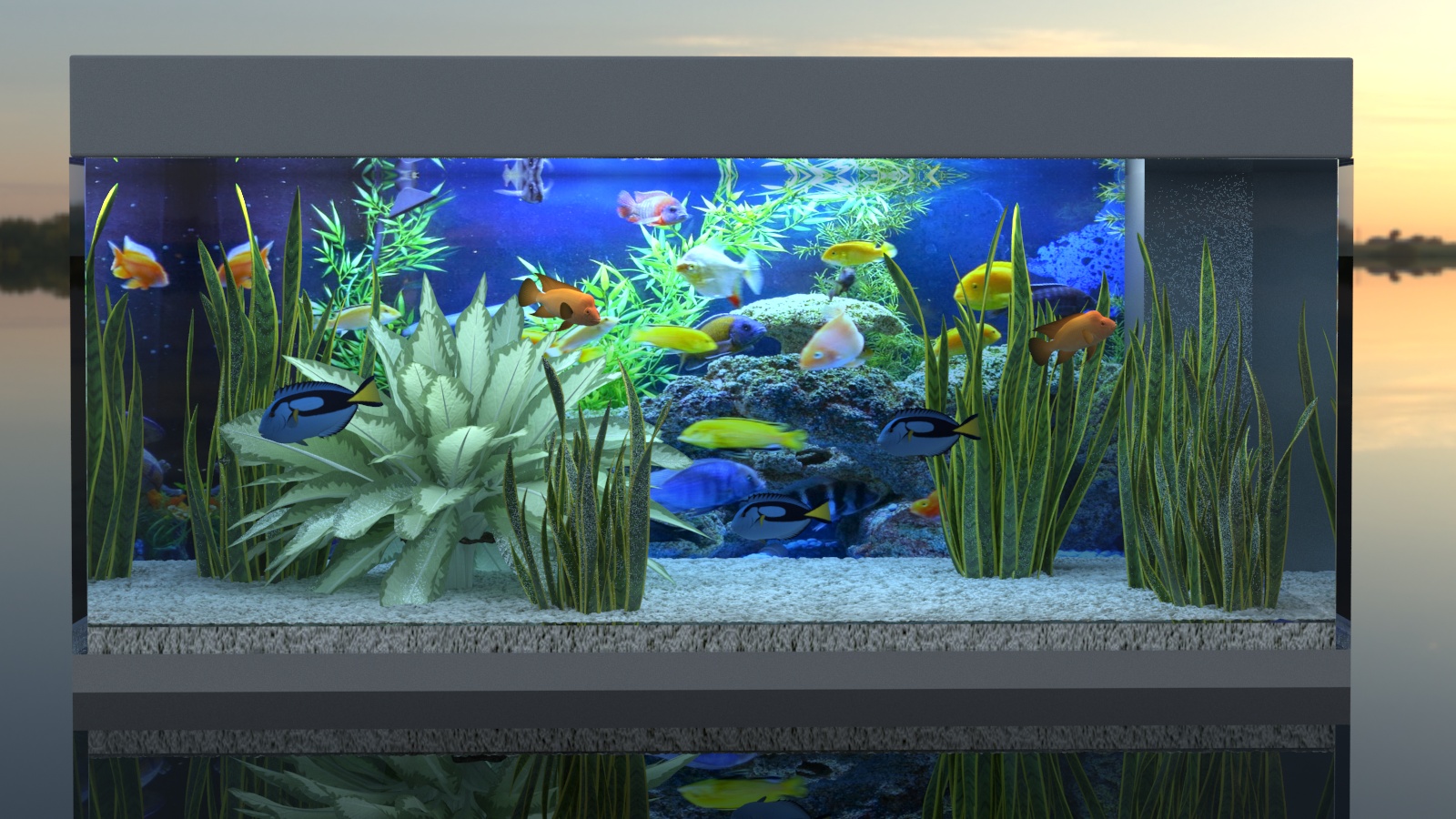 Rio 180 Aquarium in 3d max vray 3.0 image