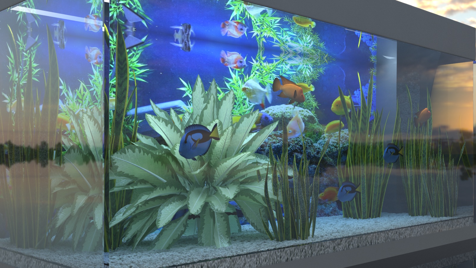 Rio 180 Acquario in 3d max vray 3.0 immagine