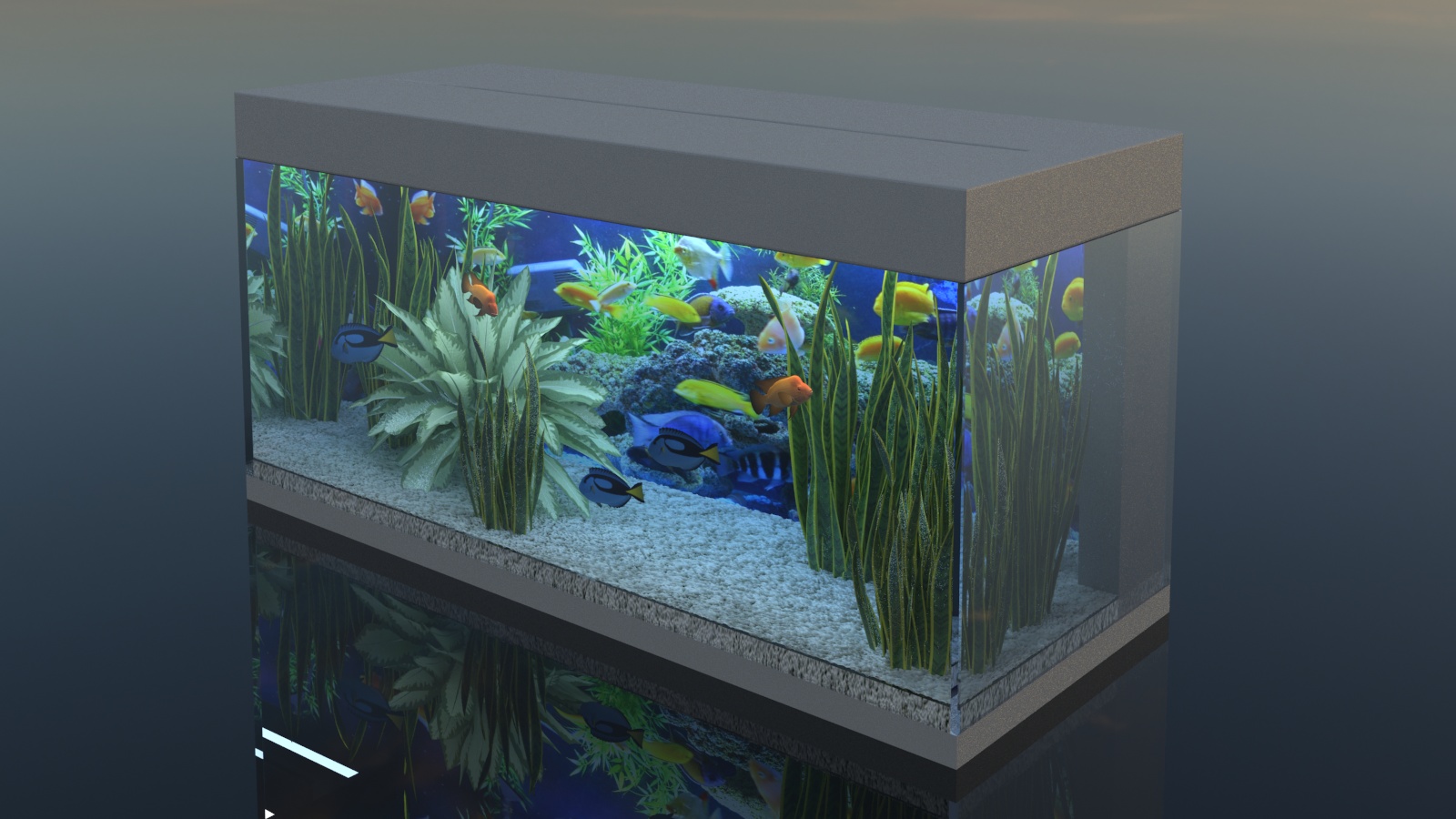 imagen de Acuario Rio 180 en 3d max vray 3.0