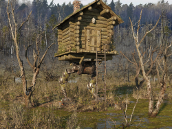 В ногу з часом