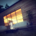 Wooden House in 3d max vray image