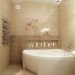 WC in 3d max vray image