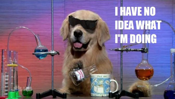 science-dog