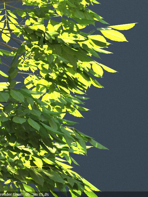 image2014-12-11%2019%3A2%3A16.png?versio