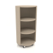 3d model Rack on wheels TM 09 (D=503х981, beige) - preview