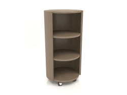 Rack sobre ruedas TM 09 (D=503х981, gris madera)