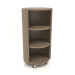 3d model Rack sobre ruedas TM 09 (D=503х981, gris madera) - vista previa