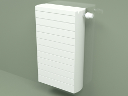 Radiator - Faro H (FAH 33 750 mm, RAL - 9016)