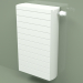 modèle 3D Radiateur - Faro H (FAH 33750 mm, RAL - 9016) - preview