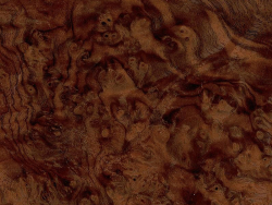 slice of American walnut burl-69