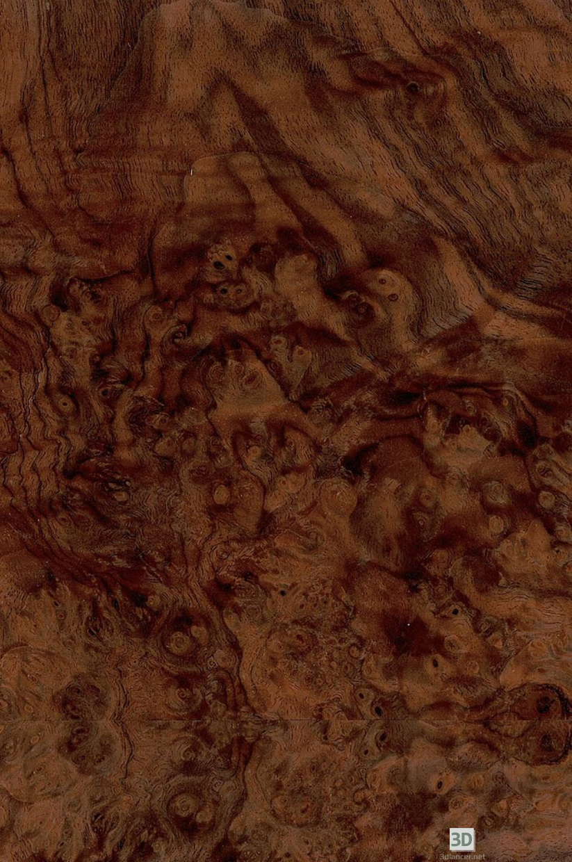 Texture tranche de ronce de noyer américain-69 Téléchargement gratuit - image