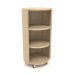 3d model Rack on wheels TM 09 (D=503х981, wood white) - preview