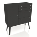 3d model Big Lutreola chest of drawers (option 8) - preview