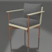 3d model Dining chair (Gold) - preview