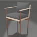 3d model Dining chair (Sand) - preview