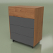 3d model Chest of drawers CN 300 (Walnut, Anthracite) - preview