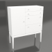 3d model Big Static chest of drawers (option 11) - preview