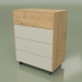 3d model Chest of drawers CN 300 (Loft, Ash) - preview